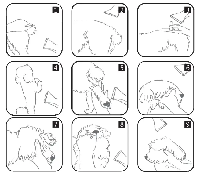 HYUNDAI HHC542201 Pet Dryer - fig 2