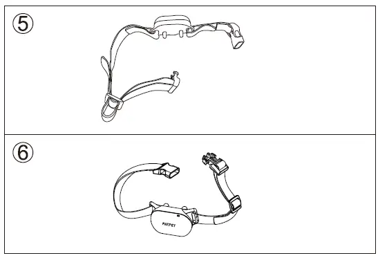 How to use the collar correctly