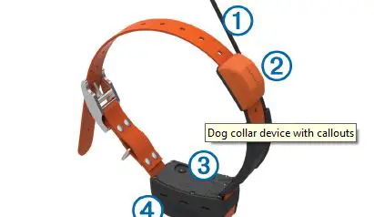 GARMIN-T-5FX-Dog-Collar-1