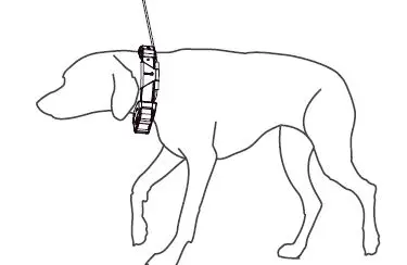 GARMIN-T-5FX-Dog-Collar-3