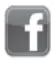 FB icon