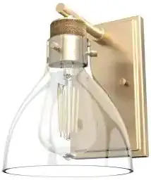 Hunter 19578 Zoanne 1 Light Wall Sconce-product