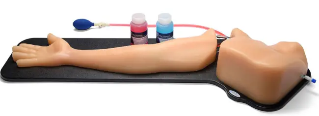 Blue Phantom BPA304 Arm Ultrasound Training