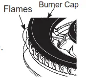 MONOGRAM ZGP486NDTSS Gas Professional Range - fig28