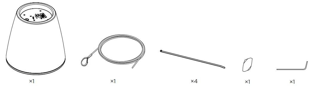 BOSE DesignMax DM10P-SUB Pendant Loudspeaker - Fig 1