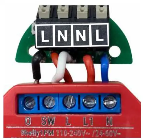 Shelly Button 1 - fig 10