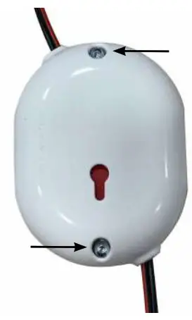 Shelly Button 1 - fig 146