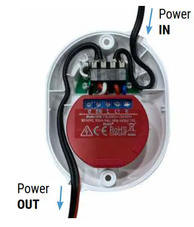 Shelly Button 1 - fig 16