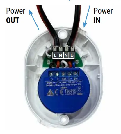 Shelly Button 1 - fig 2