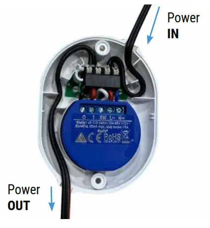 Shelly Button 1 - fig 3