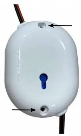 Shelly Button 1 - fig 8