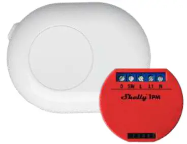 Shelly Button 1 - fig 9