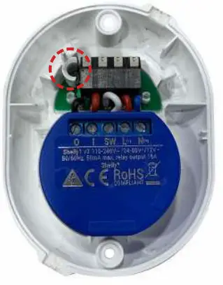 Shelly Button 1 - fig