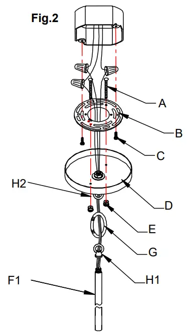 AMERICAN LIGHTING P1356-618 Alluria Pendant Light - fig 2