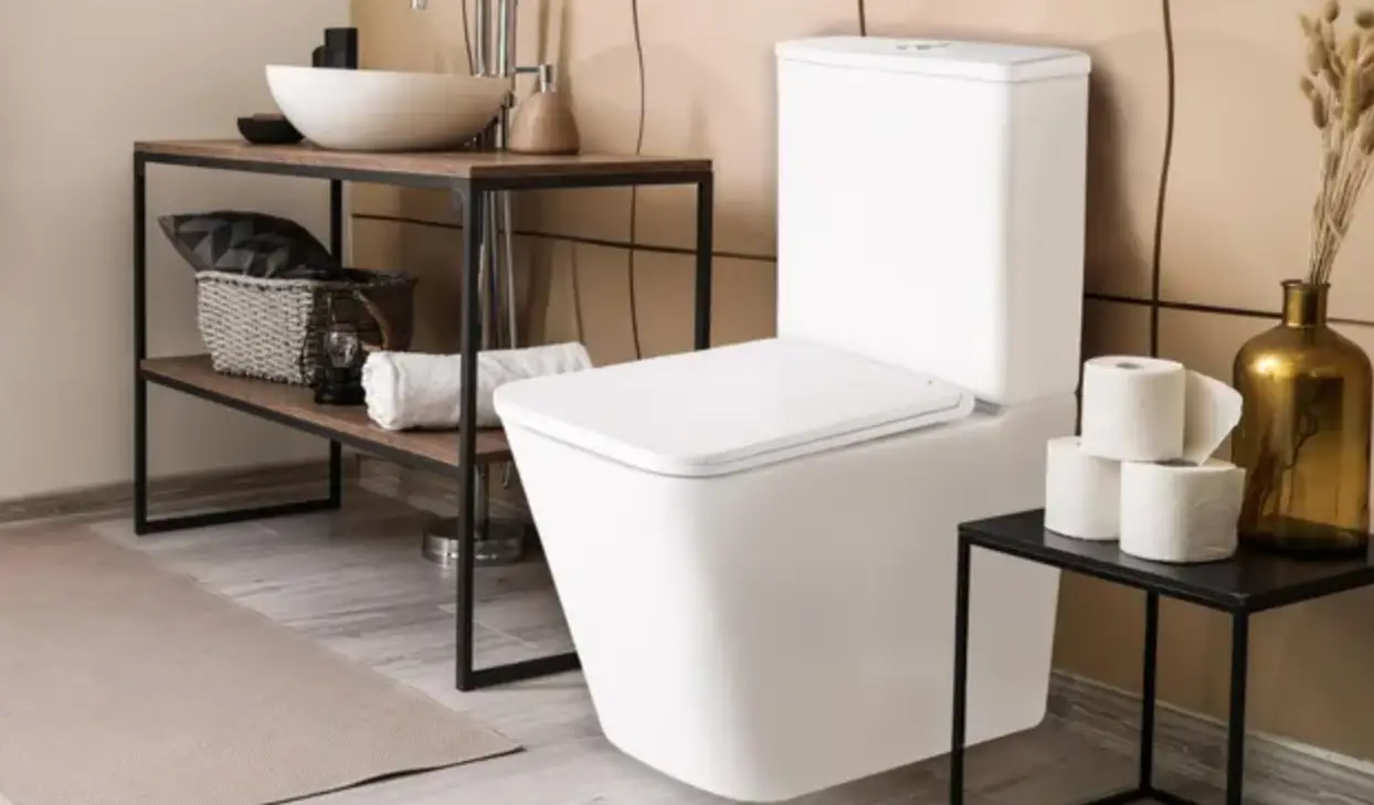 Adeo Inodoros Toilets Helios Instruction Manual Adeo Inodoros Toilets Helios Instruction Manual