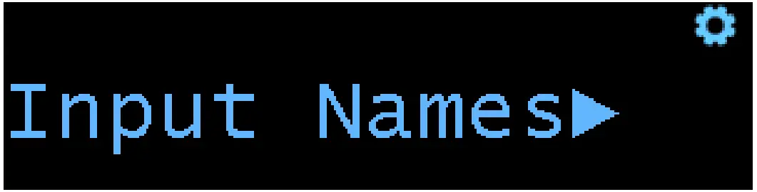 PS AUDIO Stellar Strata Amplifier - Input Names