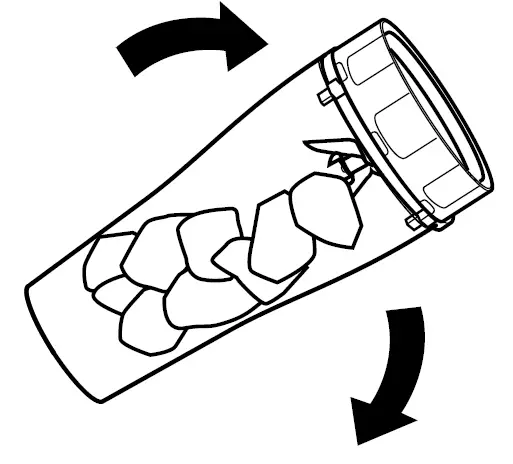 NINJA BN302Q Series Nutri-Blender Plus usage 2