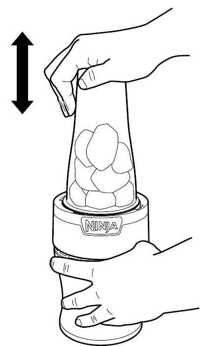 NINJA BN302Q Series Nutri-Blender Plus usage 3