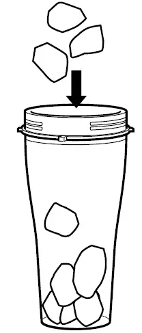 NINJA BN302Q Series Nutri-Blender Plus usage