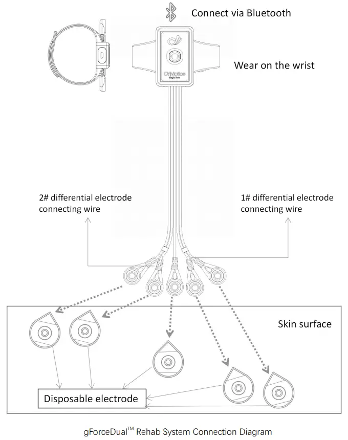 System Connection Continued 1
