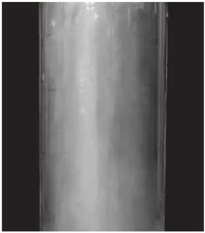 Westinghouse Stainless Steel Gas fired Commercial Water Heater - Westinghouse