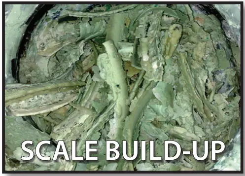 Westinghouse Stainless Steel Gas fired Commercial Water Heater - commercial