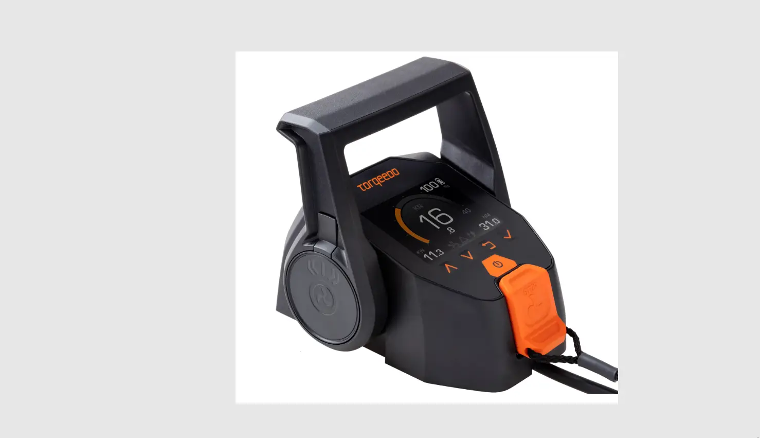 Torqeedo 1976-00 Firmware Update Torqlink Throttle Instruction Manual