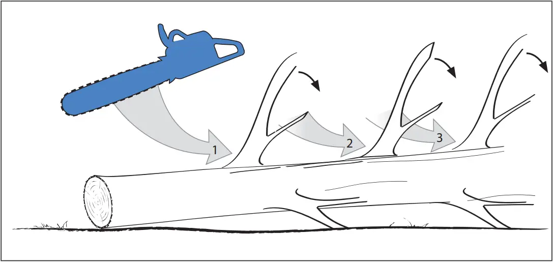 KS 401 E - BRANCHES REMOVAL 1