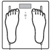 Yilai Enlighting BF1321-ITO-WF Smart WIFI Scale - icon 4