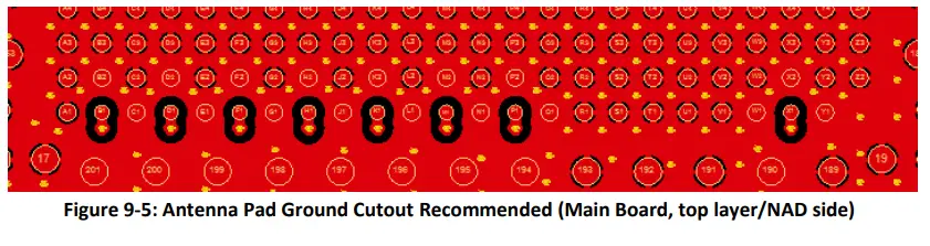 Continental FE5NA0D31 5G DSDA NAD Module-fig5