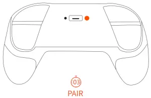 Switch Pro controller