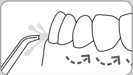 Using the Water Flosser