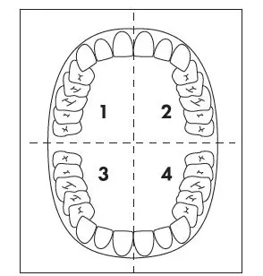 nevadent NSZB 3.7 C4 Advanced Sonic Electric Toothbrush fig 2