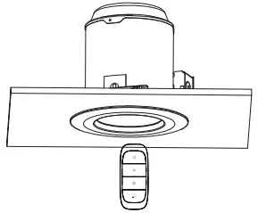 Unpair the Downlight