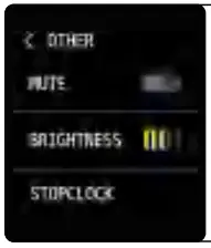 Shenzhen Zhuolong Intelligent Electronic ZW33 Smart Bracelet Smartwatch 15