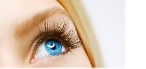 Intensive Brow Lamination User Guide