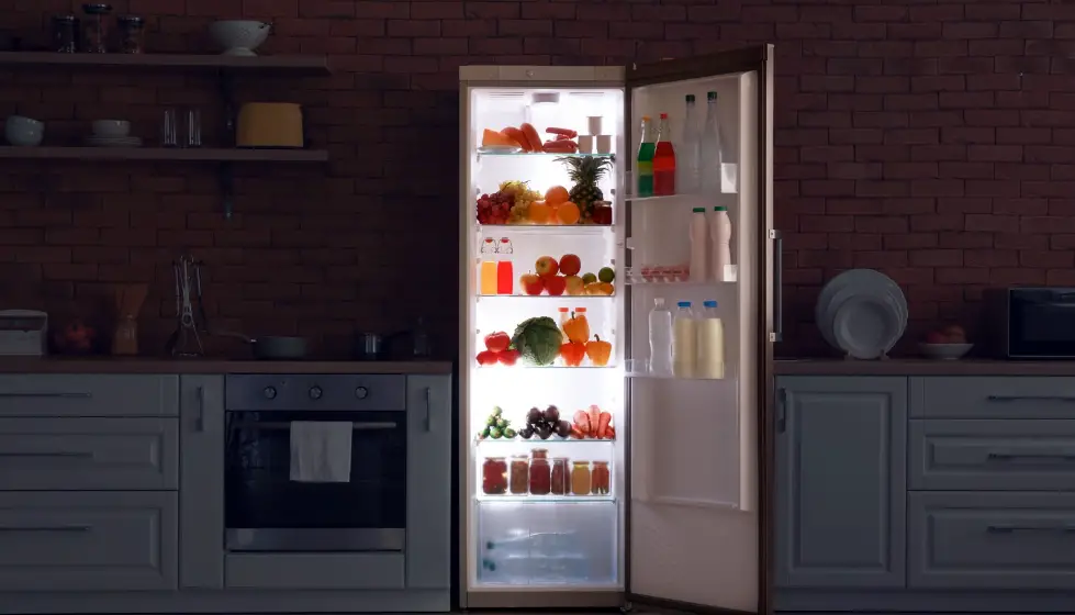 Refrigerators Trf-3236bi Fridge User Guide