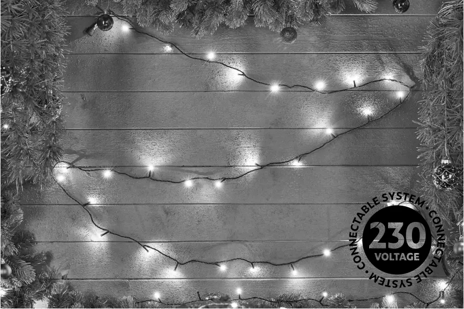 EKVIP 022434 String Lights