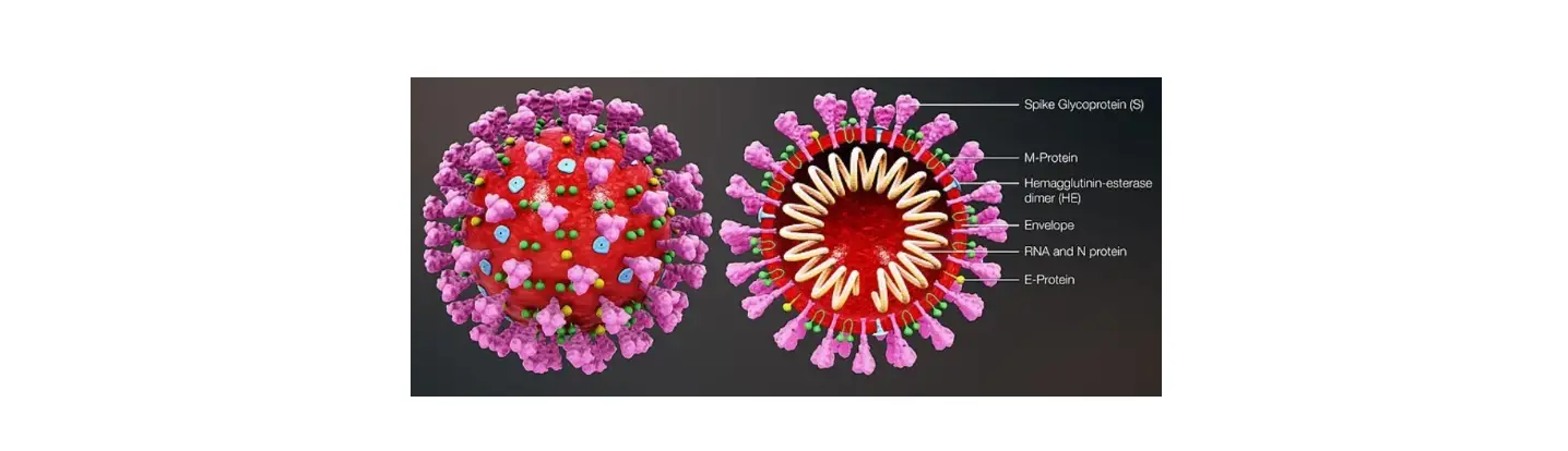 Co-dx Covid-r-002 Logix Smart Sars-cov-2 Ruo Product User Guide