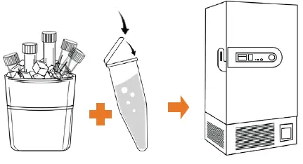 Co-Dx COVID-R-002 Logix Smart SARS-CoV-2 RUO Product fig 8