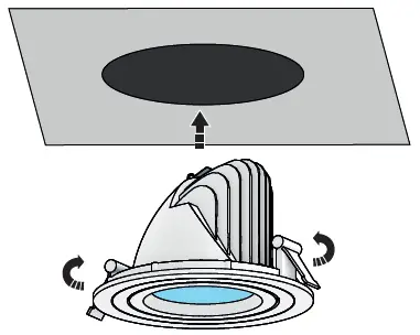 BRAINLIT-FREJA-Spotlight-fig-2