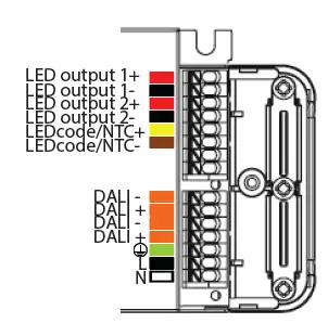 BRAINLIT-FREJA-Spotlight-fig-4