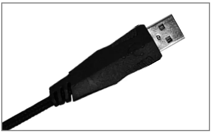 Connecting Instruction