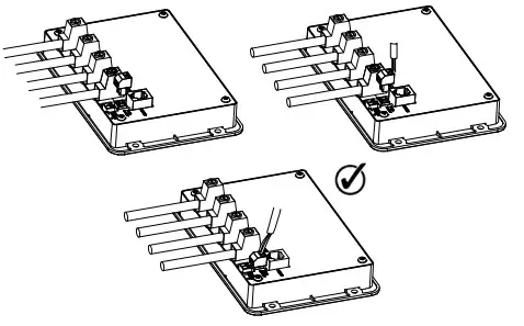 RENOGY ADVENTURER 30A PWM - Wiring 3