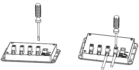 RT6JFcbxM6q8fPWFTBU78vJdm2ugTp42N7