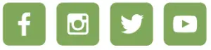 Social Media Icons