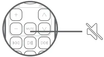 rega System One Turntable Amplifier Speakers and Even Cables - AMPLIFIER CONTROLS