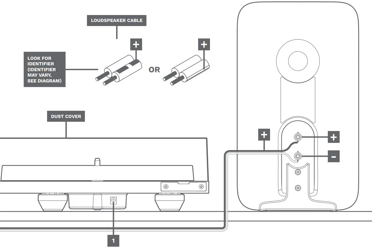 rega System One Turntable Amplifier Speakers and Even Cables - TURNTABLE SETUP2