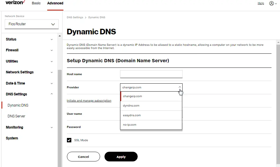 Dynamic DNS: Setup Dynamic DNS (Domain Name Server)