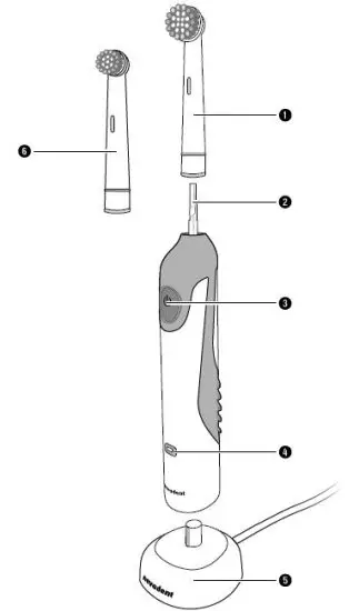 nevadent NZAK 3.7 A1 Kids’ Electric Toothbrush fig 1